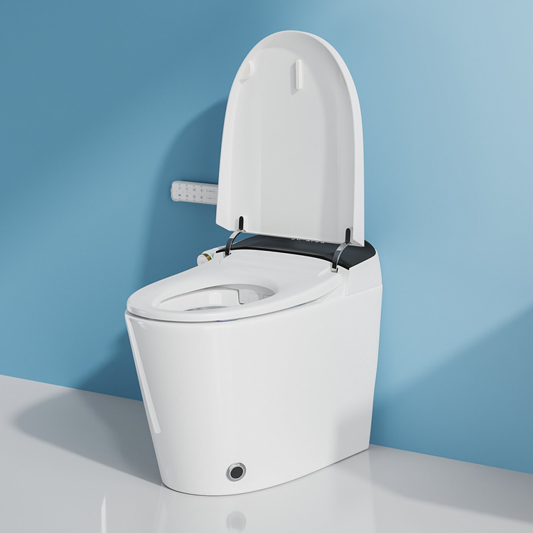 Home Decoration Bathroom Smart - огляд і ціна Home For Bathroom