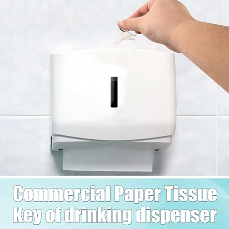 30pcs Hand Towel Dispenser Key - огляд і ціна Toilet Paper Holder