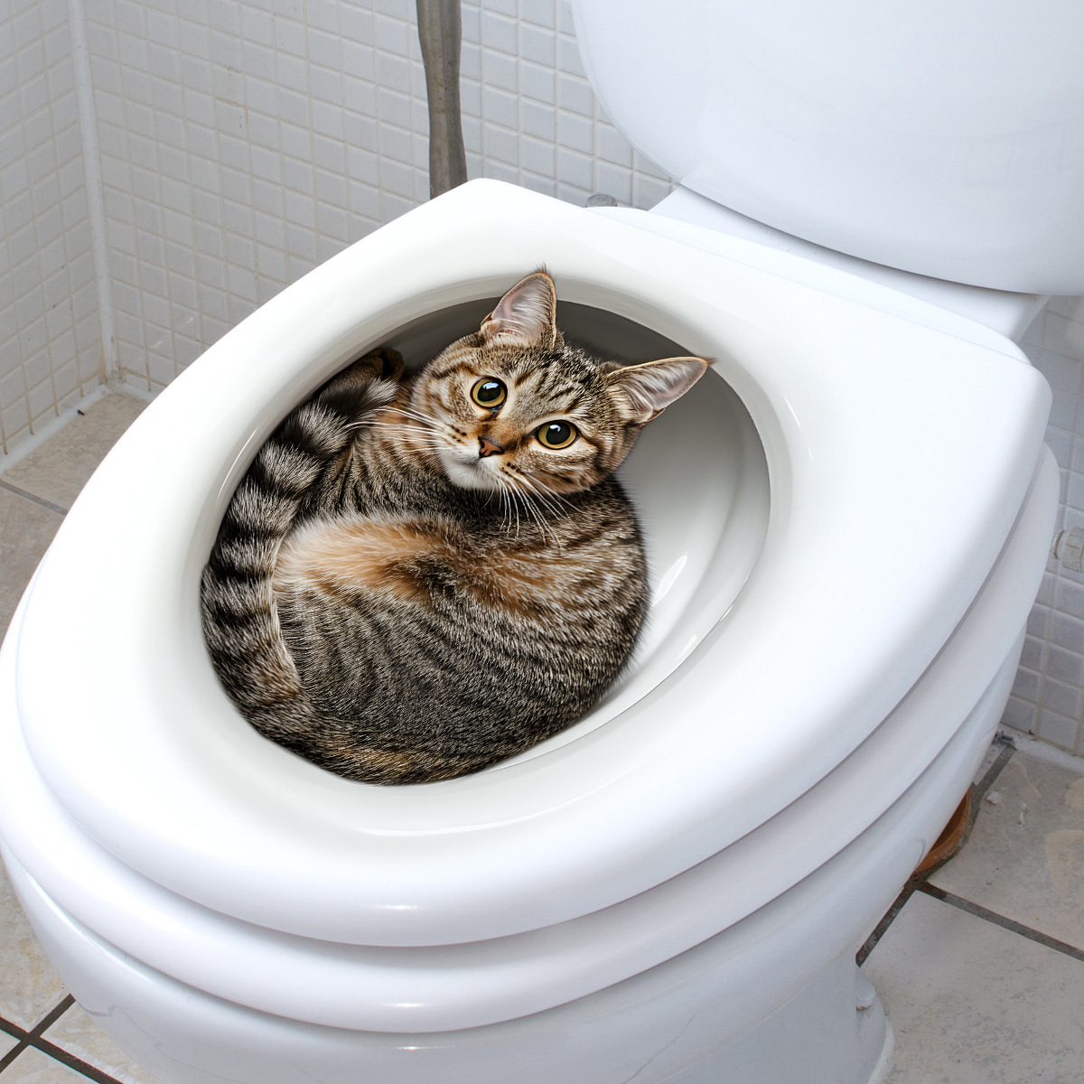 3D Funny Cat Toilet Sticker Ba - огляд і ціна Home Bathroom Gadgets